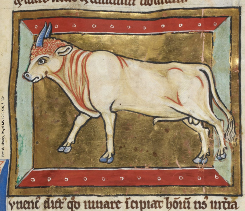 On the bull semen explosion, animal husbandry, and how medieval people were nicer to cows
